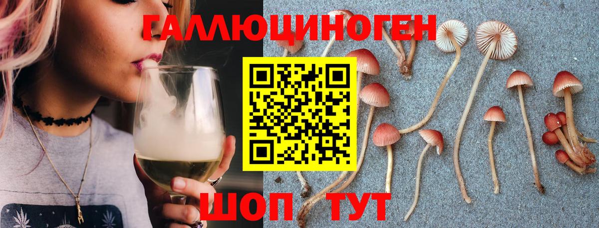 Псилоцибиновые грибы Psilocybine cubensis Архангельск
